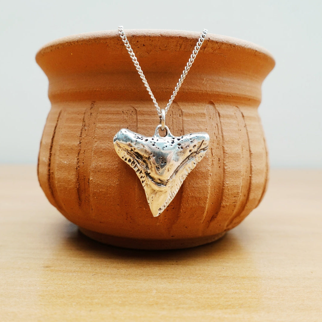 Bull Shark Asilia Necklace