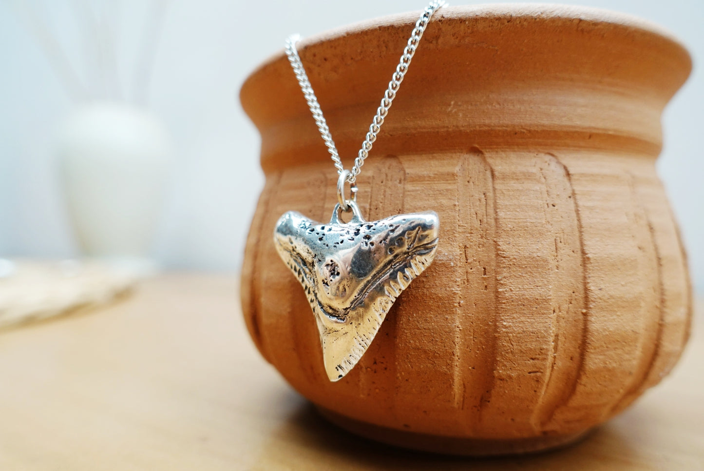 Bull Shark Asilia Necklace