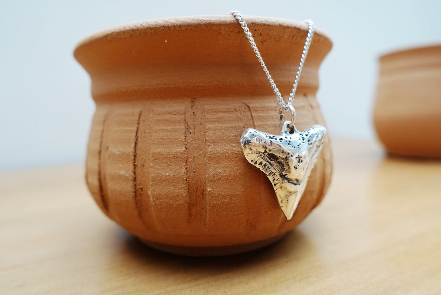 Bull Shark Asilia Necklace