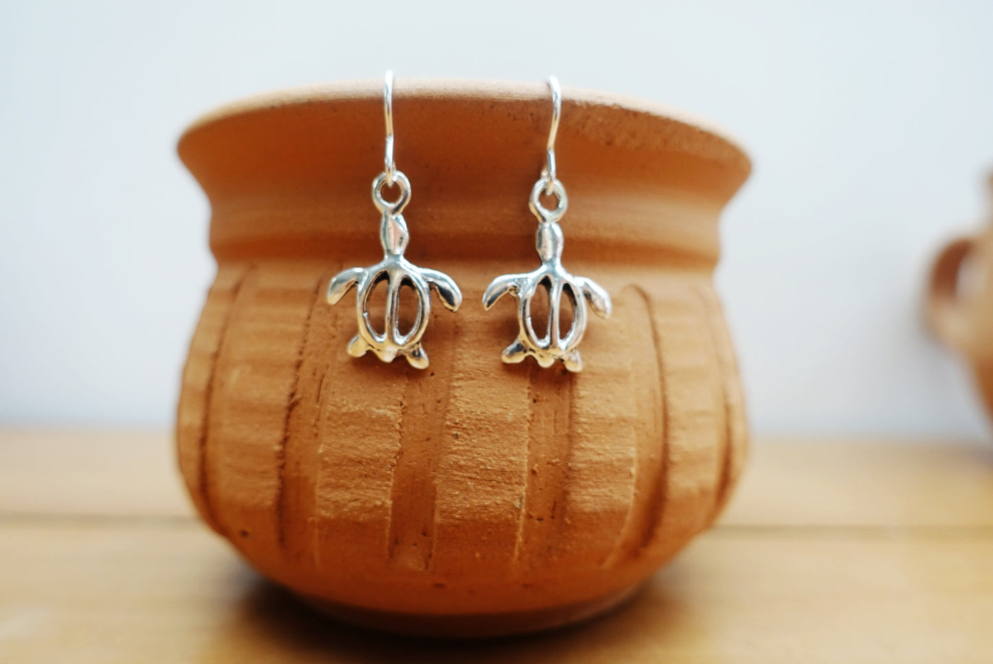 Sea Turtle Asilia Set