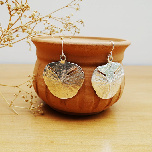 Sand Dollar Asilia Earrings