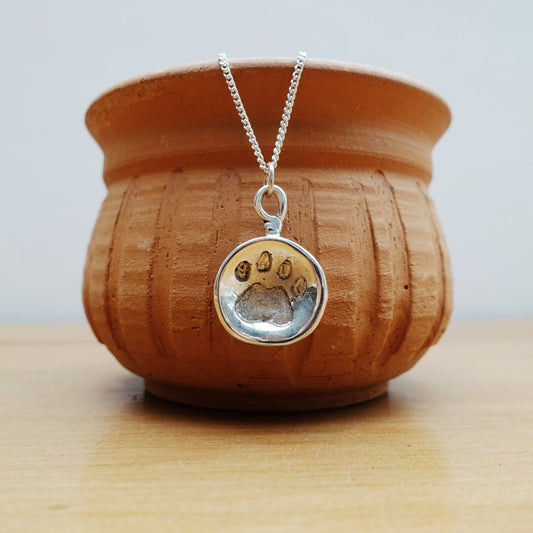 Sun's Secret Lion Paw Asilia Necklace